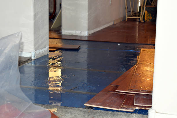 Professional Burst Pipe Cleanup technician working in Akron, IN